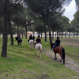 Itinerario a cavallo lungo il fiume Adaja, 1 ora