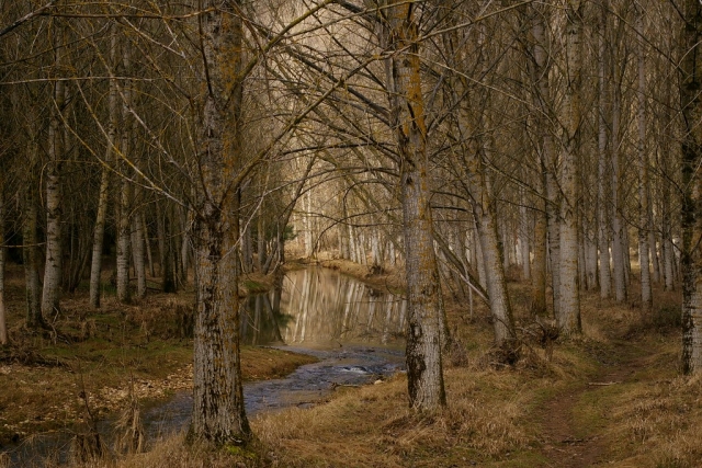 Paisaje del río Duero en Valladolid