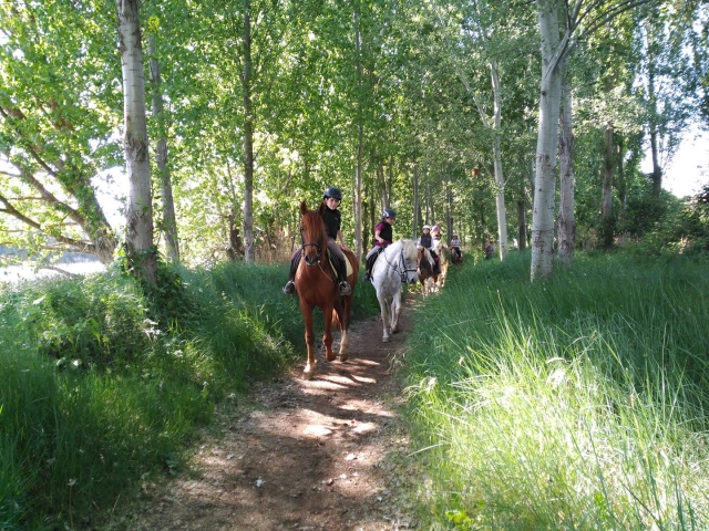 Ruta a caballo infantil 2 horas Tordesillas