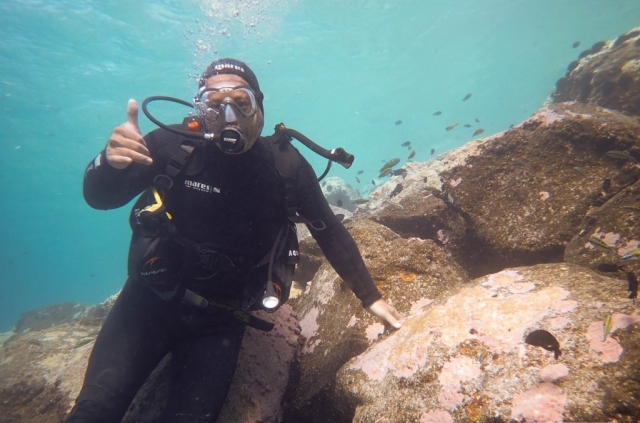  Waving while diving 