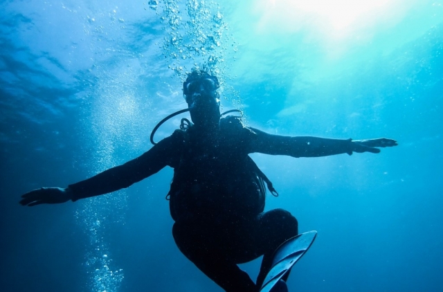  Diving in El Palmar 