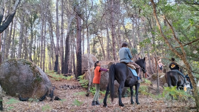 Paseo a caballo en Cáceres