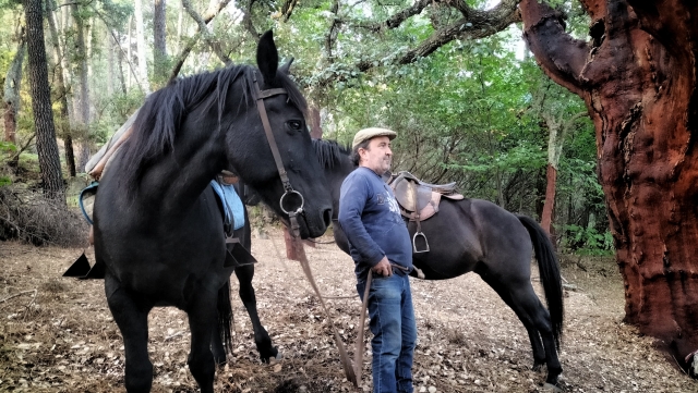 Cabalga por la sierra de Gata en Cáceres