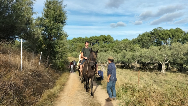 Paseo a caballo por el campo de Extremadura
