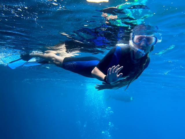 Buceo en la playa de La Herradura