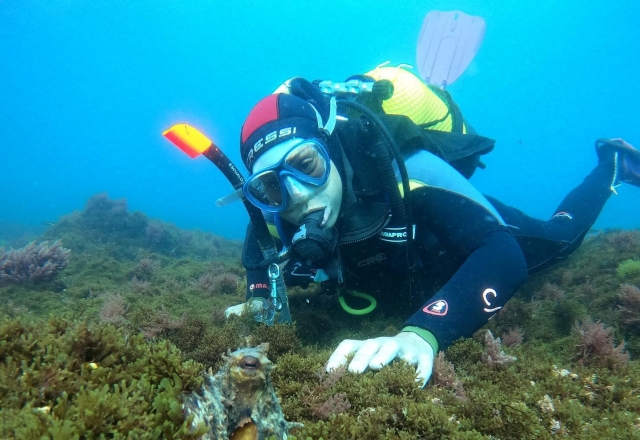 Inmersiones de buceo en Tarifa