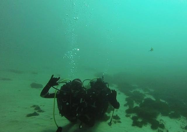  Immersioni in coppia per la prima volta Tasso