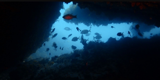 Descubriedo el fondo marino duranle la inmersion