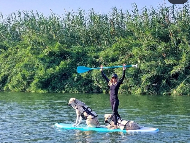  Üben Sie Paddel-Surfen im Fluss Júcar
