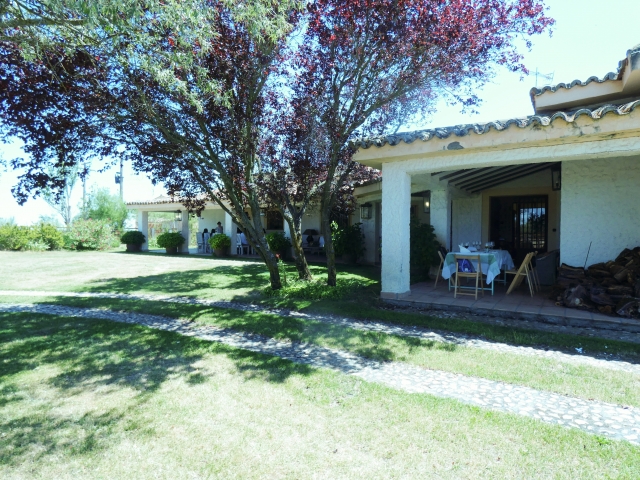  Gardens and porch 