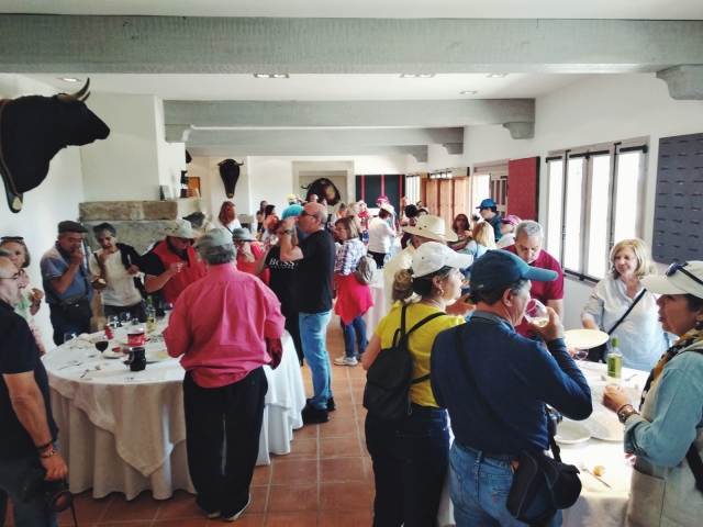  Food at the Salamanca livestock farm 