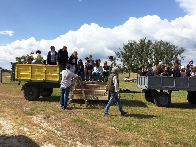  Group of visiting students 