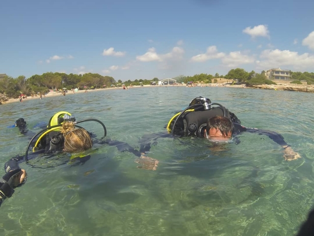  Learning the basics of diving 