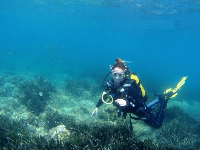  Diving among marine vegetation 
