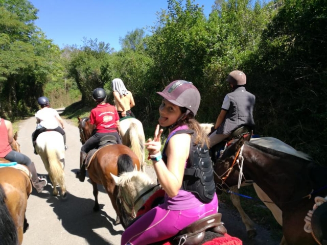  Rides for children 