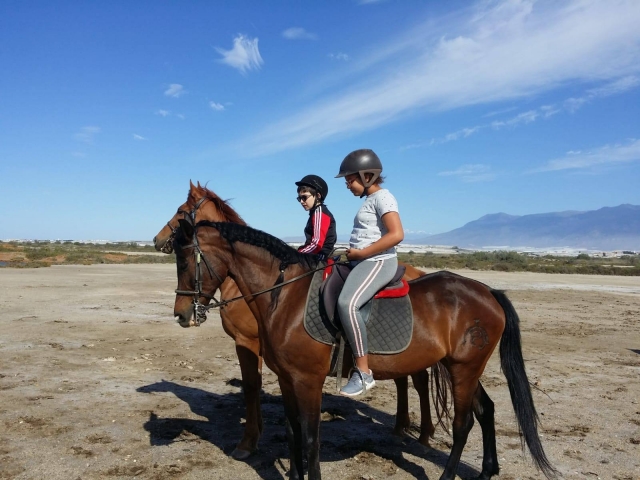  Escursione a cavallo nelle paludi di Almería
