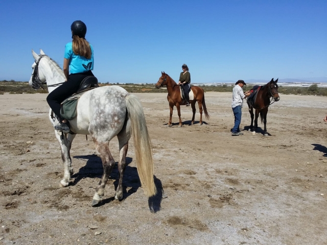  Escursione a cavallo per gruppi Almería 