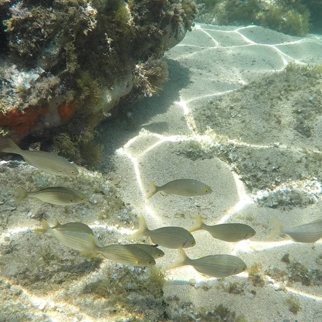  Transparent water 