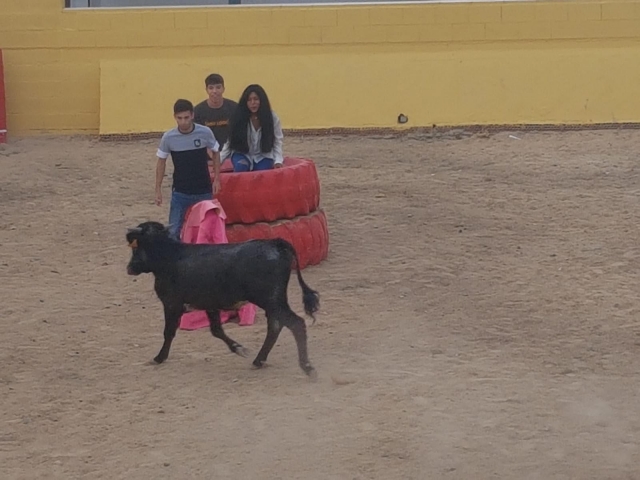 Capeando a la vaquilla 