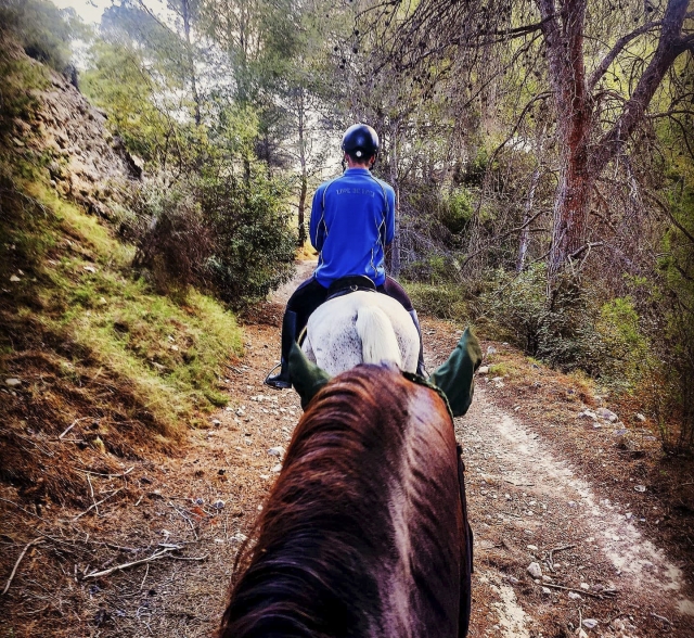  Itinerario a cavallo ad Alicante
