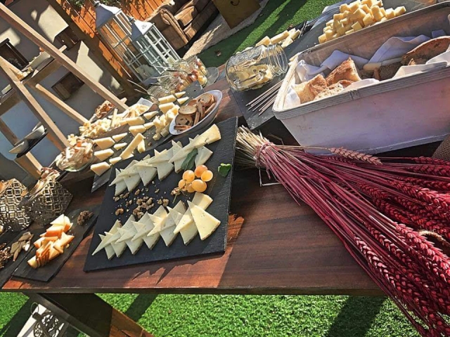  Ein köstlicher Aperitif, um das Land von Toledo zu genießen 