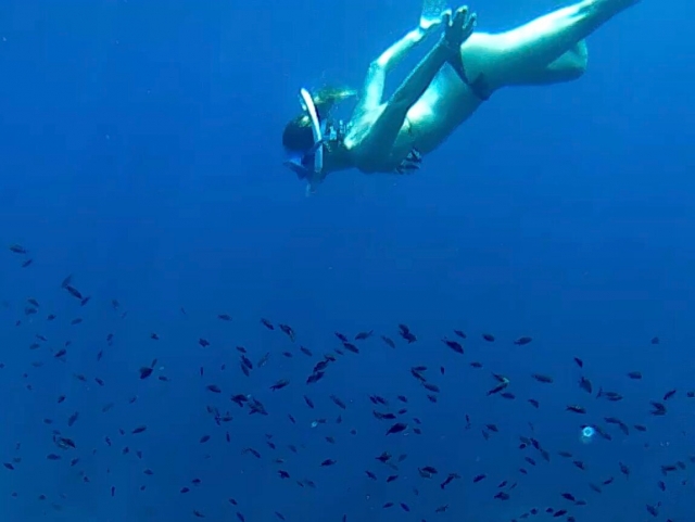 Explorando el mar haciendo snorkel