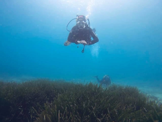  Plongée à travers la végétation de Palamos