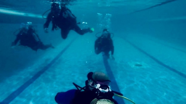 Disfrutando en grupo de buceo en Barcelona