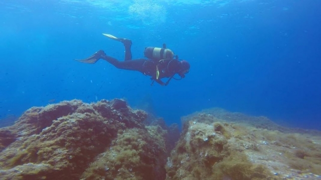 Buceo autónomo en la Costa Brava