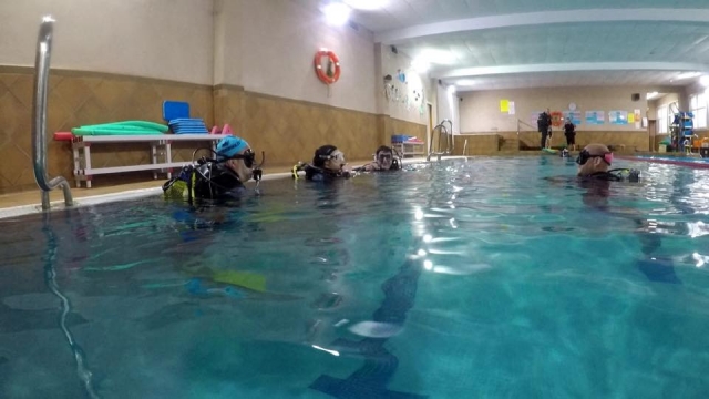  在托莱多浸入泳池前的瞬间