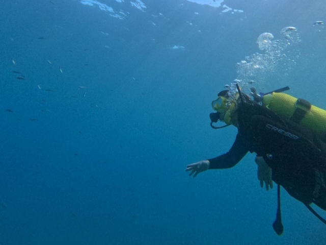 Discover Scuba Diving en Marina del este