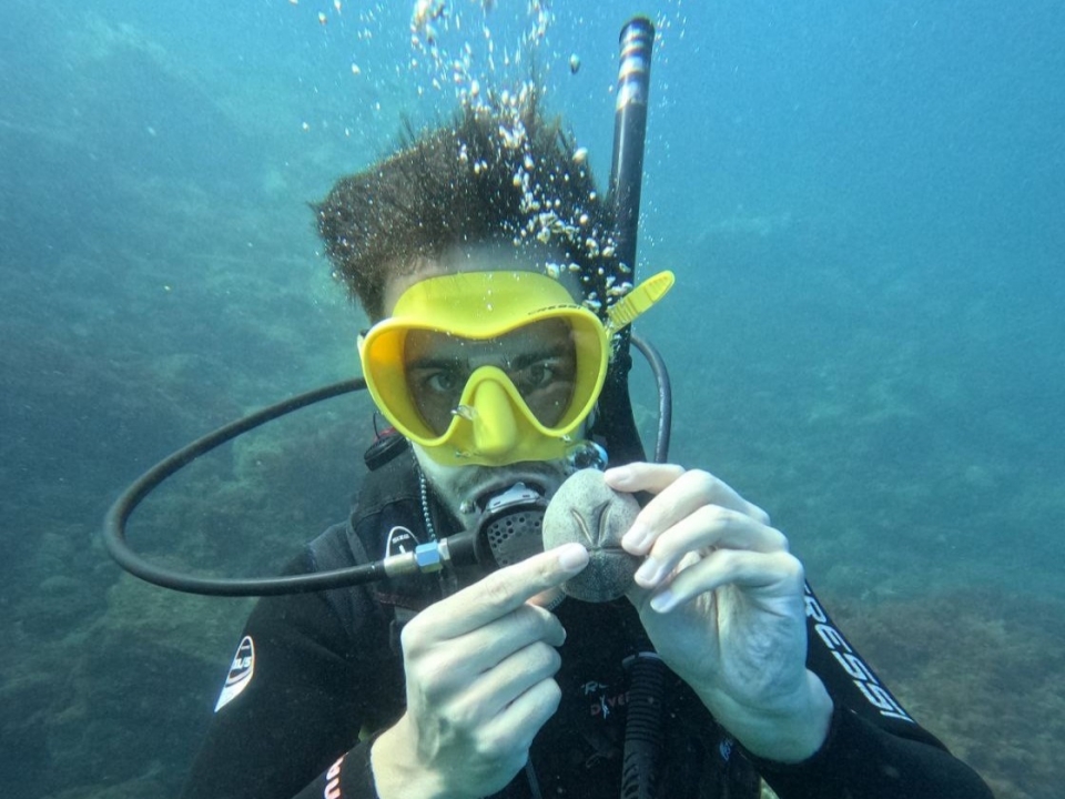 Bautismo de buceo cerca de Nerja