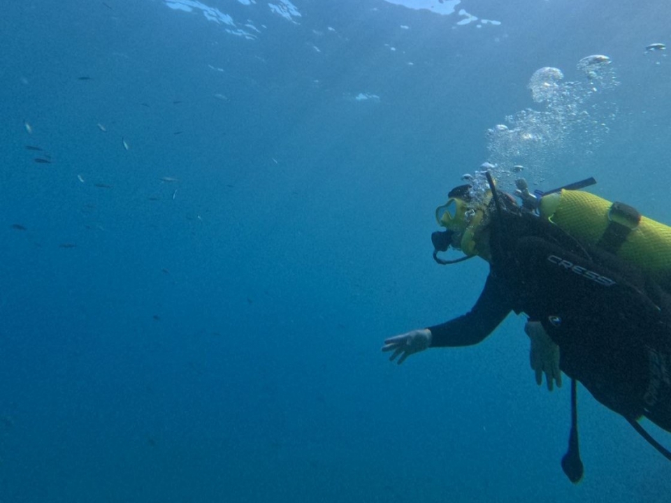 Discover Scuba Diving en Marina del este Discover Scuba Diving en Marina del este