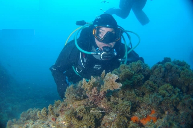  Curso de mergulho em Nerja 