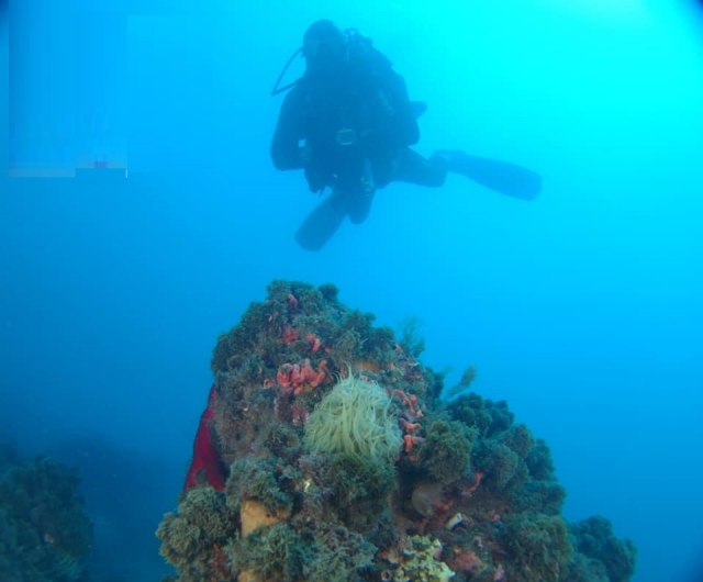  Curso Advanced Open Water Diver Nerja 