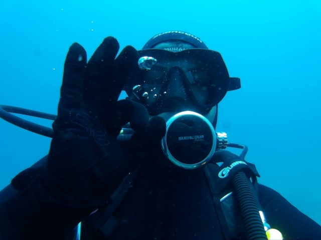  Diving in Malaga waters 