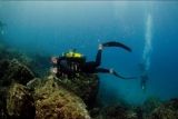 Cours de plongée Scuba Diver sur la côte de Nerja