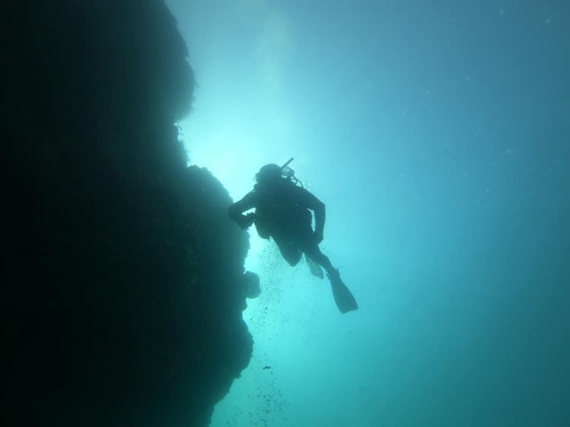 Plongée sur la côte de Nerja 