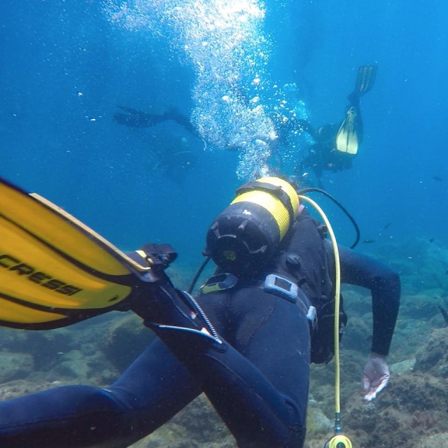  Cours PADI à Nerja 
