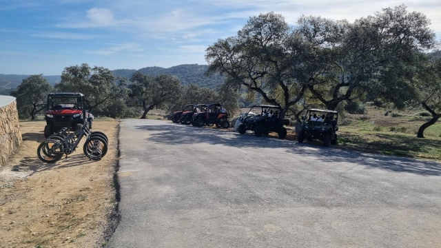 Buggies a la sombra