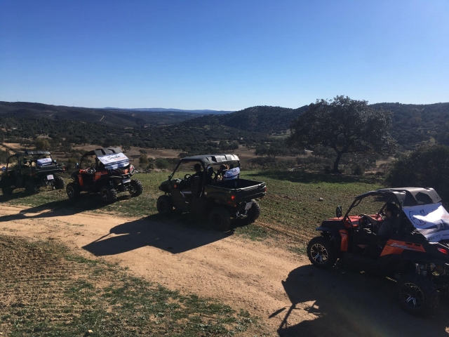 Ruta en buggie por Sevilla