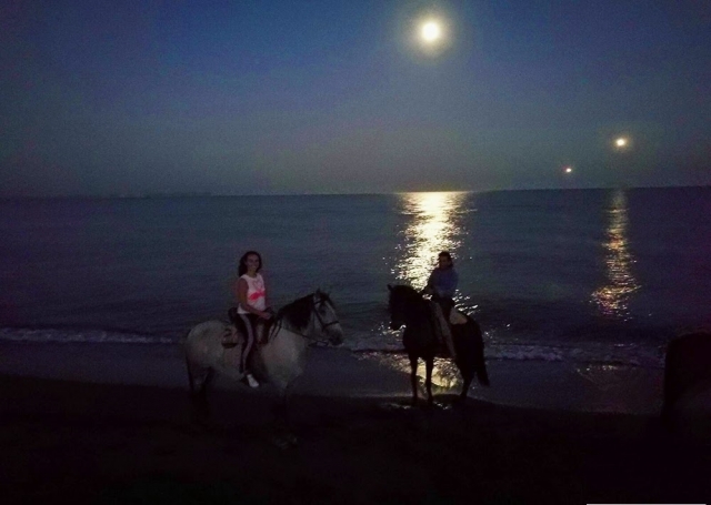  Passeggiata a cavallo notturna sulla spiaggia di Torremolinos