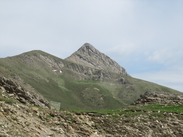  Monte Ori de buggy