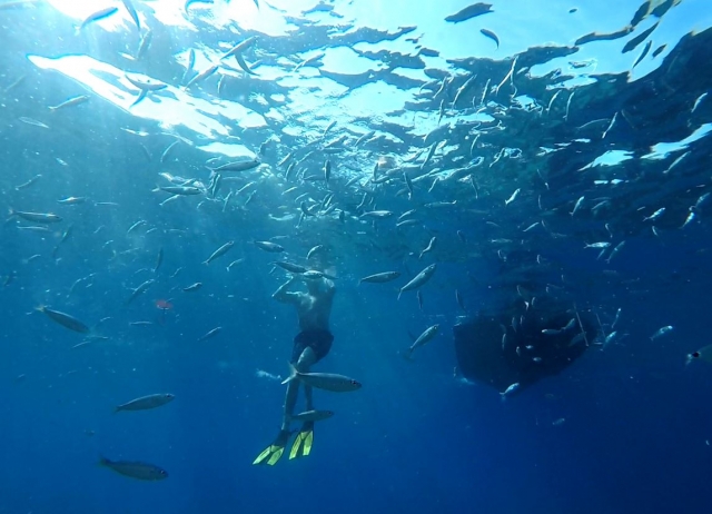 Passeio de barco e mergulho com snorkel em Maspalomas 