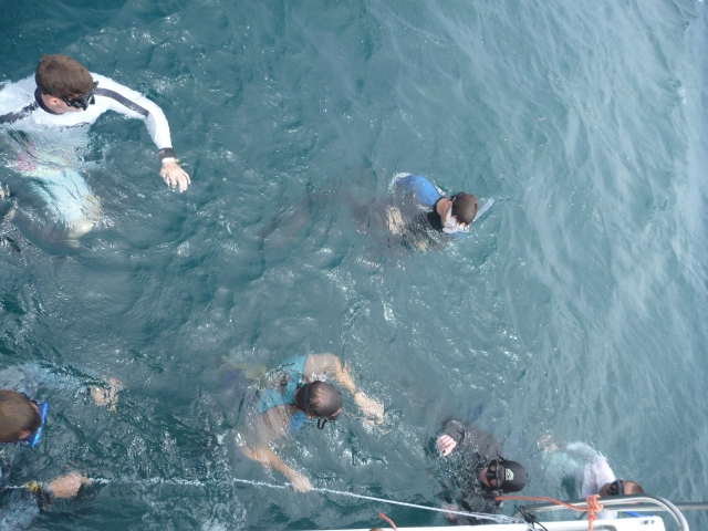 Freediving course Armintza 