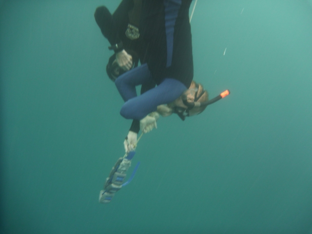  Freediving in Armintza 