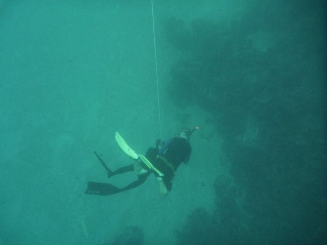 Freediving course for children Armintza 