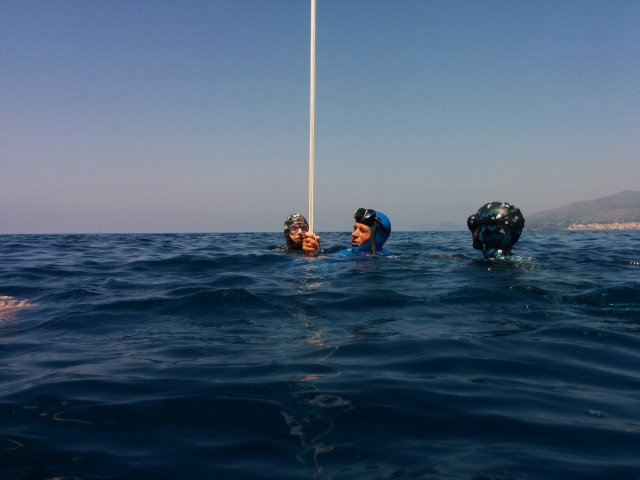  Professional freediving instructor