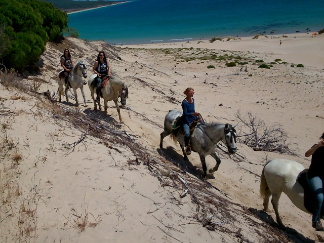 Ruta a caballo en Bolonia