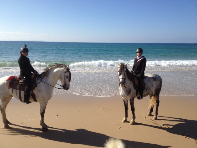 Rutas a caballo en Tarifa